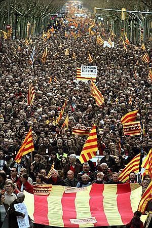 Eleccions