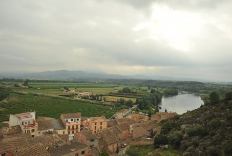 Ribera d'Ebre 2011