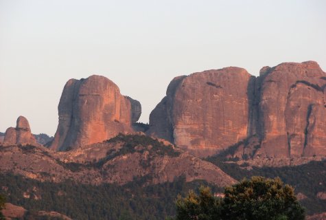 Terra Alta 2008