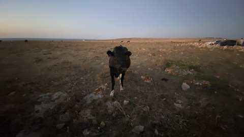 Menorca. Ciutadella. Punta Nati. Agost de 2021