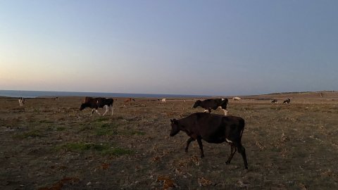 Menorca. Ciutadella. Punta Nati. Agost de 2021