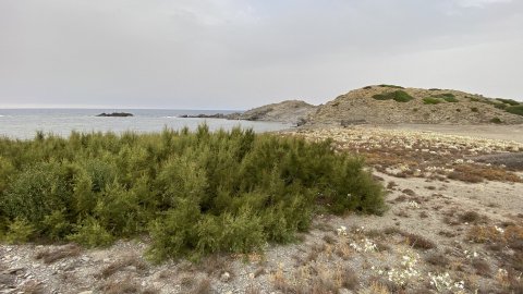 Menorca. Cap de Favàritx. Agost de 2021