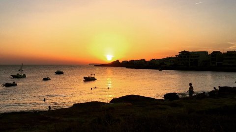 Mallorca. Colònia Sant Jordi. Mòbil. Agost de 2015