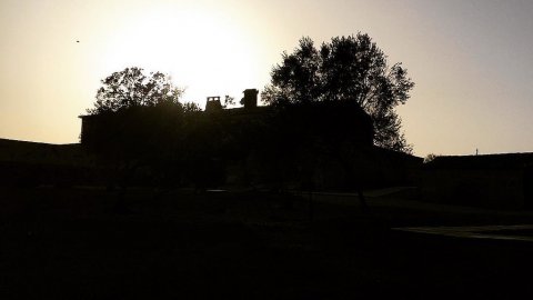 Mallorca. Mòbil. Agost de 2015
