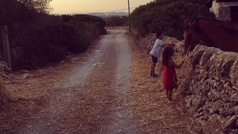 Mallorca. Campos. Mòbil. Agost de 2015