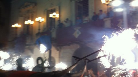 Les Santes 2014. No n'hi ha prou. Foto amb el mòbil. Mataró. Juliol del 2014