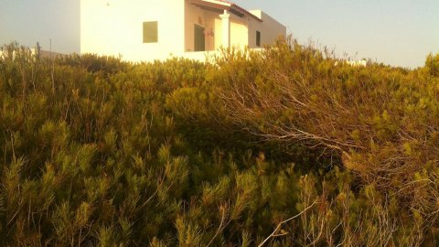 Formentera. Foto feta amb el mòbil. Agost de 2013