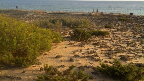 Formentera. Foto feta amb el mòbil. Agost de 2013