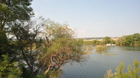 Móra d'Ebre. Ribera d'Ebre. Catalunya. Abril de 2011