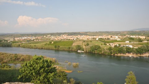 Móra d'Ebre. Ribera d'Ebre. Catalunya. Abril de 2011