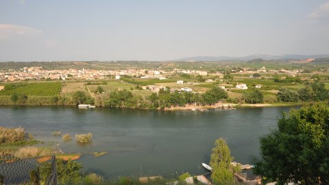 Móra d'Ebre. Ribera d'Ebre. Catalunya. Abril de 2011