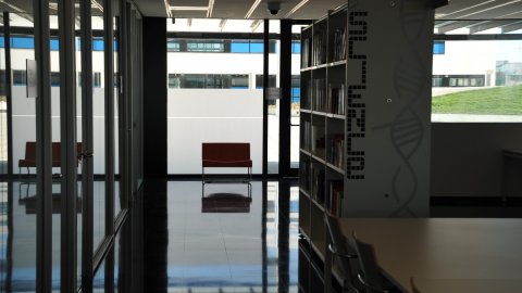 Tecnocampus Mataró-Maresme. Novembre de 2010