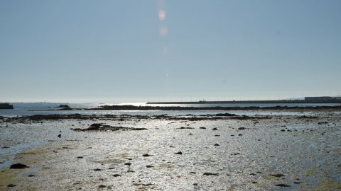 Ria de Cambados (Pontevedra). Agost 2009