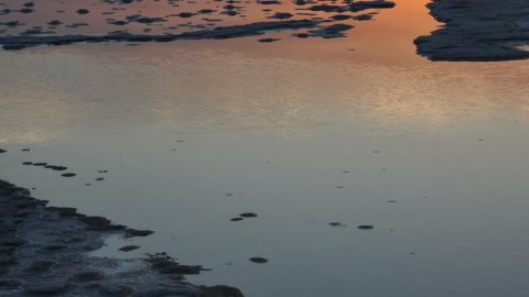 Formentera. Ses Salines. Agost de 2009