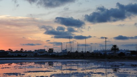 Formentera. Ses Salines. Agost de 2009