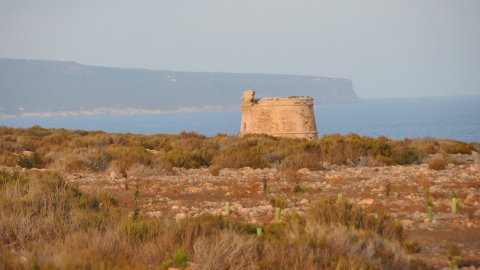 Formentera. Cap de Barbaria. Agost de 2009