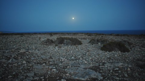 Formentera. Lluna al cap de Barbaria. Agost de 2009