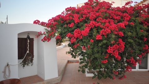 Formentera. Sant Francesc. Agost de 2009