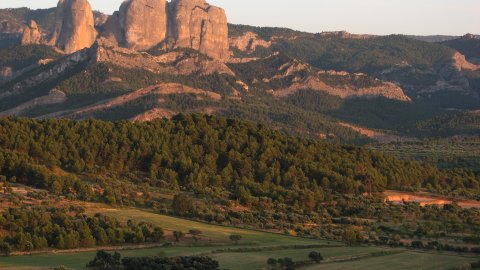 Roques de Benet. Terra Alta. Juliol de 2008