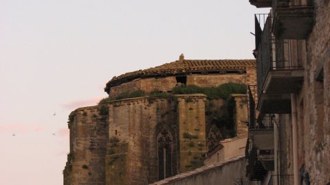 Horta de Sant Joan.Terra Alta. Juliol de 2008