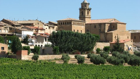 Arnes. Terra Alta. Juliol de 2008