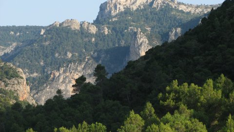 Parc Natural dels Ports. Terra Alta. Juliol de 2008