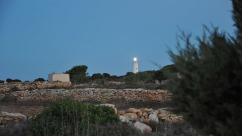 Formentera. Agost de 2016. Foto: Saül Gordillo