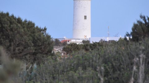 Formentera. Agost de 2016. Foto: Saül Gordillo