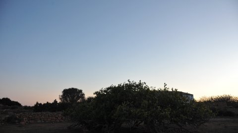Formentera. Agost de 2016. Foto: Saül Gordillo