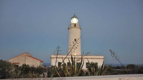 Formentera. Agost de 2016. Foto: Saül Gordillo