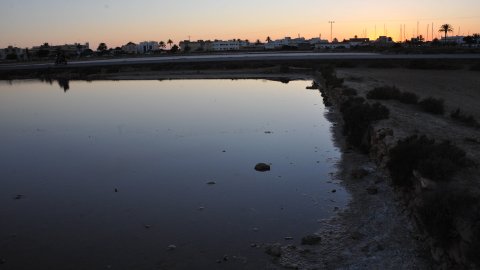 Formentera. Agost de 2016. Foto: Saül Gordillo