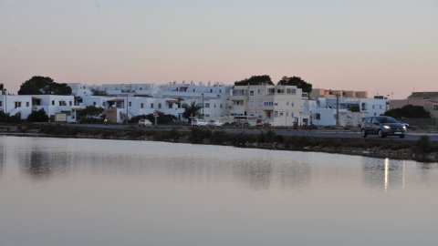 Formentera. Agost de 2016. Foto: Saül Gordillo