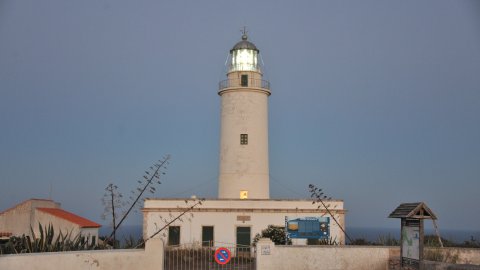Formentera. Agost de 2016. Foto: Saül Gordillo