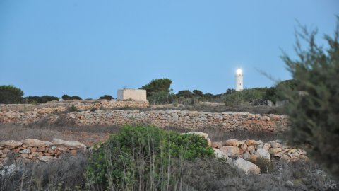 Formentera. Agost de 2016. Foto: Saül Gordillo
