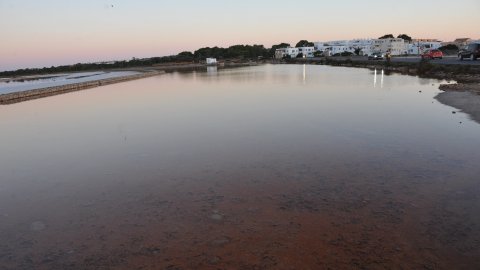 Formentera. Agost de 2016. Foto: Saül Gordillo