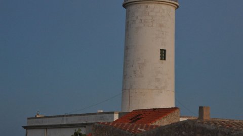 Formentera. Agost de 2016. Foto: Saül Gordillo