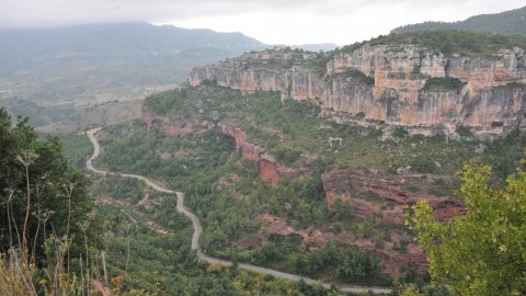 Priorat, Ribera d'Ebre i Terra Alta. Visita als municipis d'El Pinell de Brai, Miravet, la Morera de Montsant, Siurana, Porrera, Gratallops i Falset. Agost de 2014. Foto: Saül Gordillo