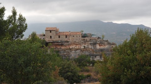 Priorat, Ribera d'Ebre i Terra Alta. Visita als municipis d'El Pinell de Brai, Miravet, la Morera de Montsant, Siurana, Porrera, Gratallops i Falset. Agost de 2014. Foto: Saül Gordillo