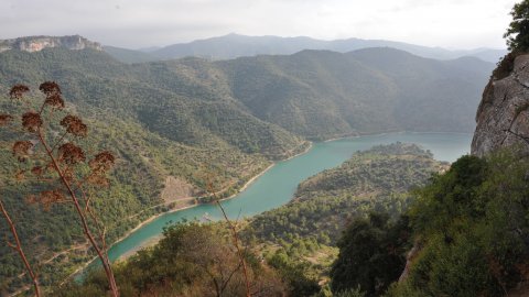 Priorat, Ribera d'Ebre i Terra Alta. Visita als municipis d'El Pinell de Brai, Miravet, la Morera de Montsant, Siurana, Porrera, Gratallops i Falset. Agost de 2014. Foto: Saül Gordillo