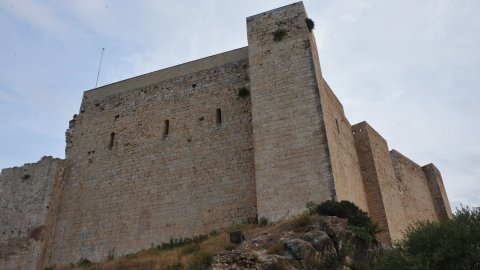 Priorat, Ribera d'Ebre i Terra Alta. Visita als municipis d'El Pinell de Brai, Miravet, la Morera de Montsant, Siurana, Porrera, Gratallops i Falset. Agost de 2014. Foto: Saül Gordillo