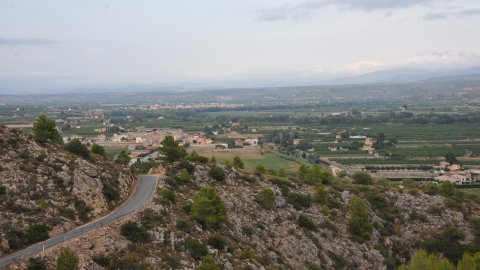 Priorat, Ribera d'Ebre i Terra Alta. Visita als municipis d'El Pinell de Brai, Miravet, la Morera de Montsant, Siurana, Porrera, Gratallops i Falset. Agost de 2014. Foto: Saül Gordillo