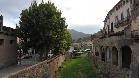 Priorat, Ribera d'Ebre i Terra Alta. Visita als municipis d'El Pinell de Brai, Miravet, la Morera de Montsant, Siurana, Porrera, Gratallops i Falset. Agost de 2014. Foto: Saül Gordillo
