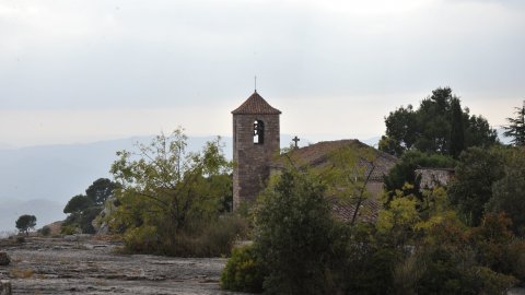 Priorat, Ribera d'Ebre i Terra Alta. Visita als municipis d'El Pinell de Brai, Miravet, la Morera de Montsant, Siurana, Porrera, Gratallops i Falset. Agost de 2014. Foto: Saül Gordillo
