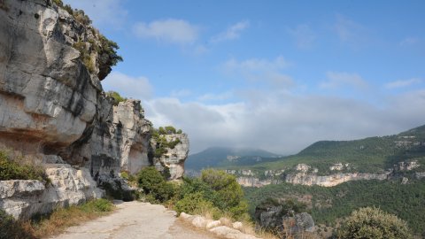 Priorat, Ribera d'Ebre i Terra Alta. Visita als municipis d'El Pinell de Brai, Miravet, la Morera de Montsant, Siurana, Porrera, Gratallops i Falset. Agost de 2014. Foto: Saül Gordillo
