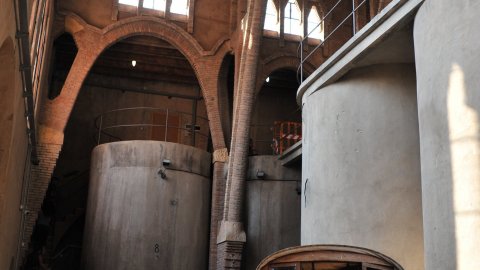 Priorat, Ribera d'Ebre i Terra Alta. Visita als municipis d'El Pinell de Brai, Miravet, la Morera de Montsant, Siurana, Porrera, Gratallops i Falset. Agost de 2014. Foto: Saül Gordillo