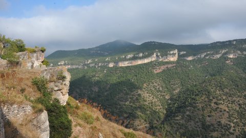 Priorat, Ribera d'Ebre i Terra Alta. Visita als municipis d'El Pinell de Brai, Miravet, la Morera de Montsant, Siurana, Porrera, Gratallops i Falset. Agost de 2014. Foto: Saül Gordillo