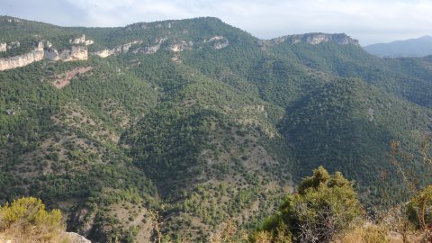 Priorat, Ribera d'Ebre i Terra Alta. Visita als municipis d'El Pinell de Brai, Miravet, la Morera de Montsant, Siurana, Porrera, Gratallops i Falset. Agost de 2014. Foto: Saül Gordillo