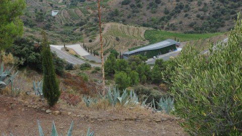 Priorat, Ribera d'Ebre i Terra Alta. Visita als municipis d'El Pinell de Brai, Miravet, la Morera de Montsant, Siurana, Porrera, Gratallops i Falset. Agost de 2014. Foto: Saül Gordillo
