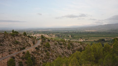 Priorat, Ribera d'Ebre i Terra Alta. Visita als municipis d'El Pinell de Brai, Miravet, la Morera de Montsant, Siurana, Porrera, Gratallops i Falset. Agost de 2014. Foto: Saül Gordillo