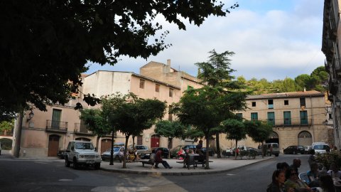 Priorat, Ribera d'Ebre i Terra Alta. Visita als municipis d'El Pinell de Brai, Miravet, la Morera de Montsant, Siurana, Porrera, Gratallops i Falset. Agost de 2014. Foto: Saül Gordillo